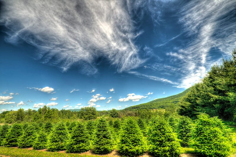 New Jersey Bride Holiday Date Ideas