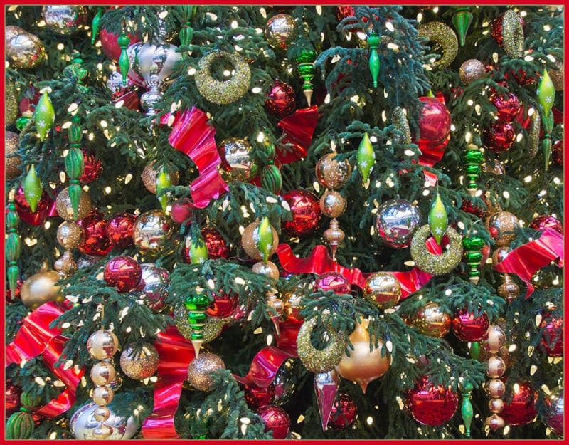 New Jersey Bride Holiday Date Ideas