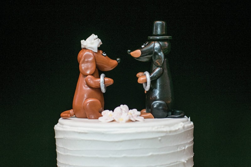 6 Fun Ways to Include Your Dog on Your Wedding Day