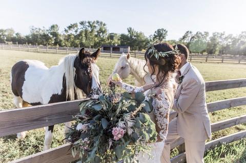 cecil-creek-weddings