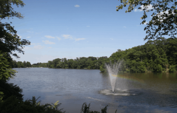 Buttonwood Manor Gallery 6