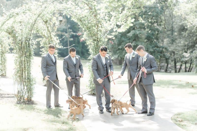 New Jersey Bride—Puppy-moonstone_manor_wedding_photographer_photo_040