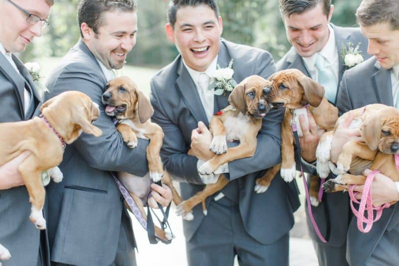 New Jersey Bride—Puppy-moonstone_manor_wedding_photographer_photo_040