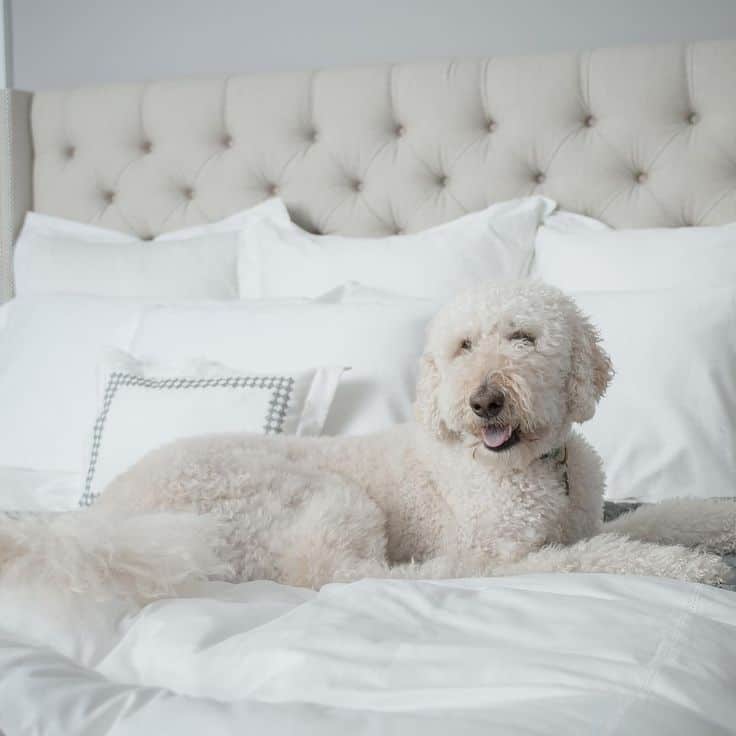 New Jersey Bride—Boll and Branch