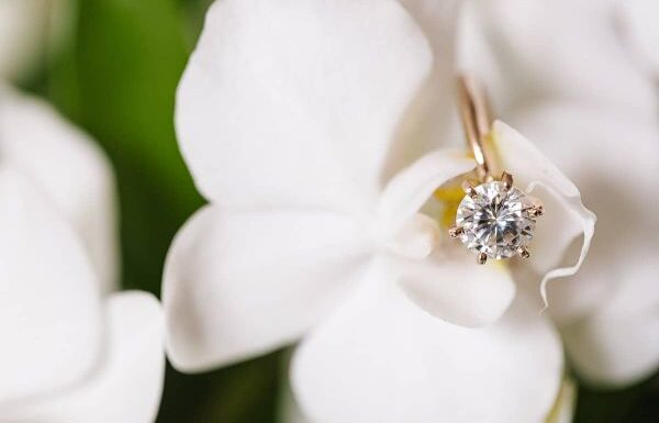 Heyn Photography Gallery 0