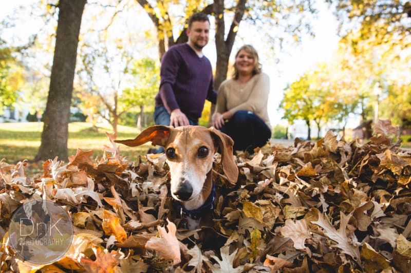 NEw Jersey Bride Louie the dog