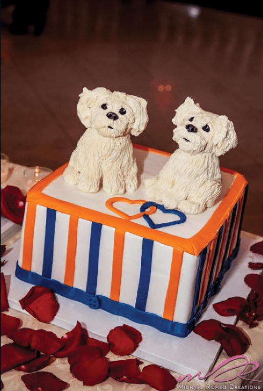 Top 12 Craziest Wedding Cakes