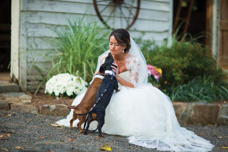 A Fairytale Farm Wedding at Stonewall Farm - New Jersey Bride