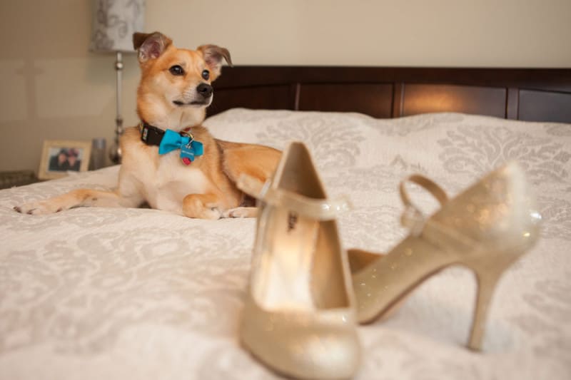 A Wedding at The Stateroom on Long Beach Island - New Jersey Bride