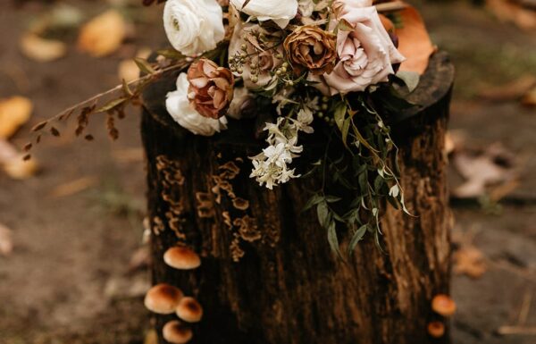 The wedding of This Wedding Had a Beautiful Outdoor Setting Complete With On-Site Cabins Gallery 3