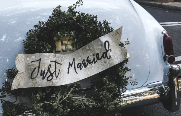 A-1 Limousine Gallery 0