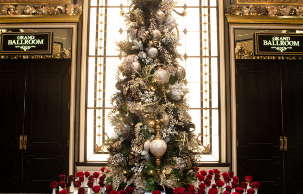 The wedding of A Christmas Wedding Filled With Love and Holiday Spirit Gallery 5