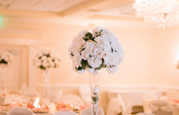 Windsor Ballroom at the Holiday Inn East Windsor Gallery 5