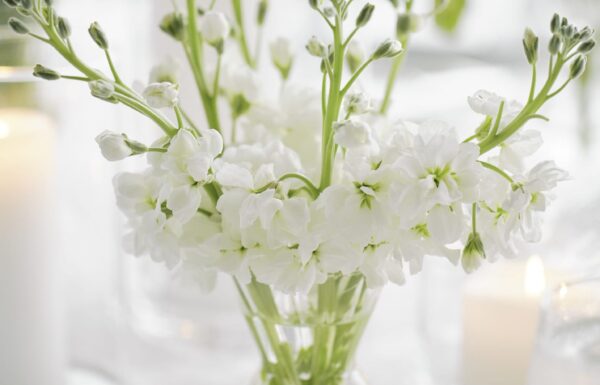 The wedding of Spring Lake Provided a Beautiful—and Meaningful—Backdrop for This Wedding Gallery 2