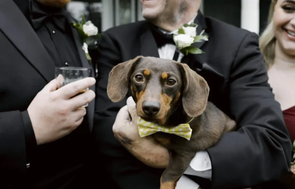The wedding of A Gothic-Inspired Fall Wedding at Stone House Gallery 5
