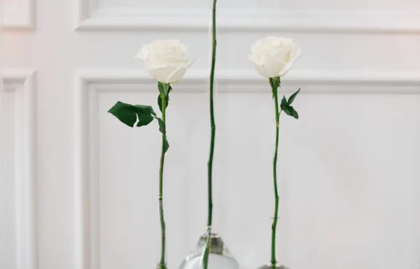 The wedding of Pops of Hot Pink Completed This Elegant Wedding at The Shore Gallery 10