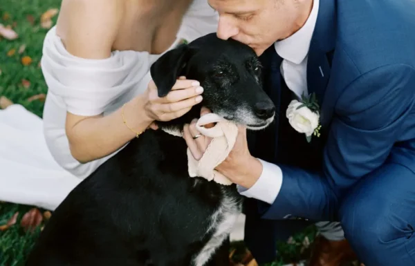 The wedding of A Micro-Wedding at Deep Cut Gardens Full of Natural Beauty Gallery 6