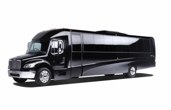 Gem Limousine Gallery 3