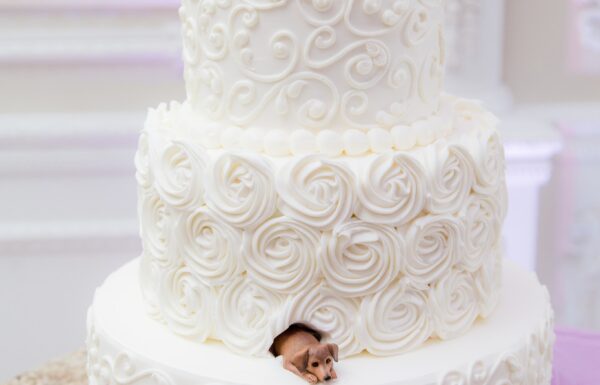 Love-It Awards Category Vendor Gallery CalandrasBakery