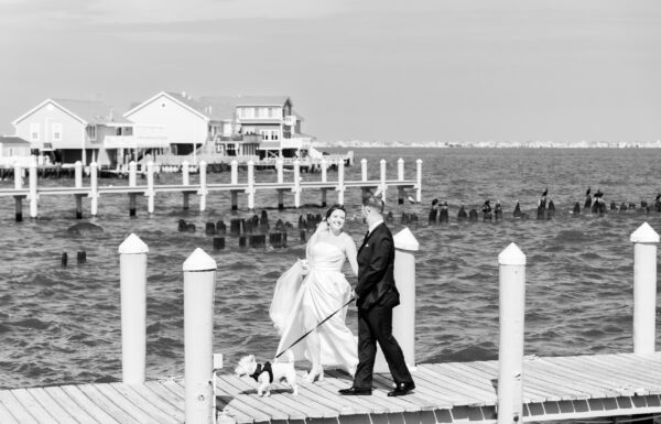 Photographers & Videographers Category Vendor Gallery NataliandKatee