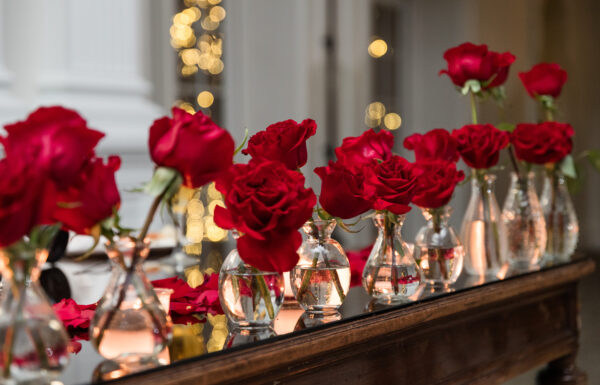 The wedding of Just One Speech, a Private Cake-Cutting and CO2 Cannons at This Timeless Wedding Gallery 2