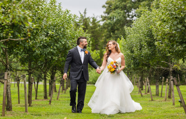 Farm On Main Gallery 6