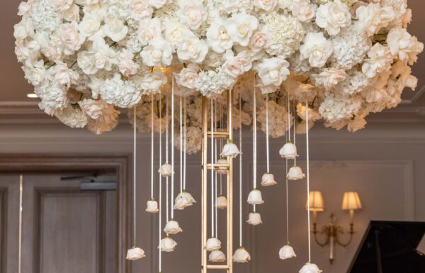 Details Category Vendor DivineElegancebyDeirdre