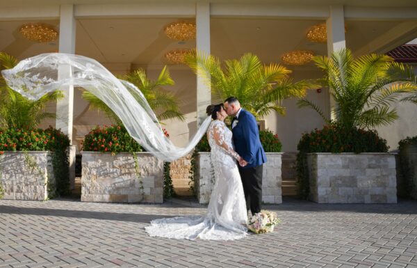 The wedding of An Elegant Wedding With a Standout Cocktail Hour Gallery 3