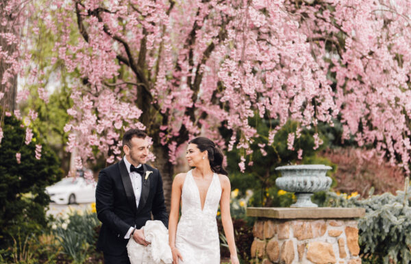 Crystal Plaza Gallery 7