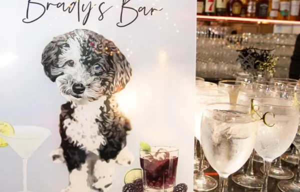 The wedding of Bright Pink and White Florals Completed This Spring Wedding Gallery 10