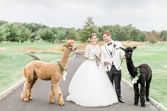 Photographer Listing Category Jamie Bodo Photography