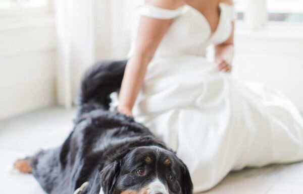 The wedding of Personal Details Filled This Beautiful Summer Wedding Gallery 10