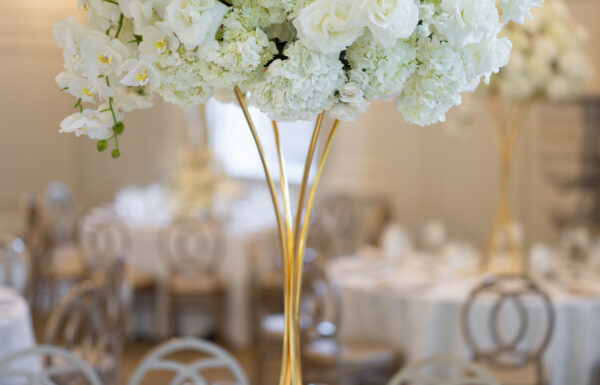 The wedding of An Elegant Opulent Reception With a Gelato & Espresso Truck Gallery 8