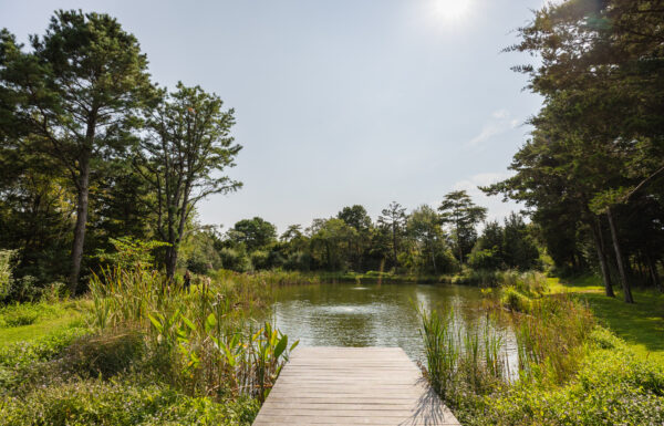 Farm On Main Gallery 7