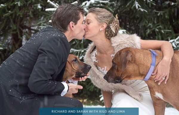 Purr’n Pooch Pet Resorts Gallery 3