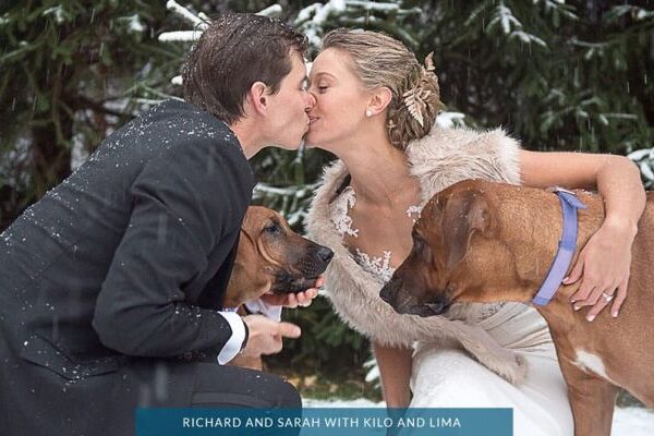 Include your Pets Listing Category Purr’n Pooch Pet Resorts
