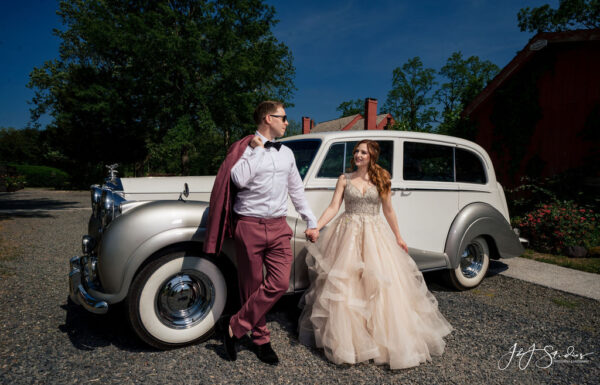 Albert’s Transportation Gallery 4