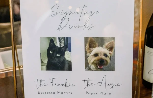 The wedding of This Couple Took Cute Photos With Llamas at Their Fall Farm Wedding Gallery 3