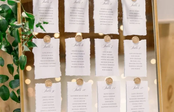 The wedding of This Couple Took Cute Photos With Llamas at Their Fall Farm Wedding Gallery 2