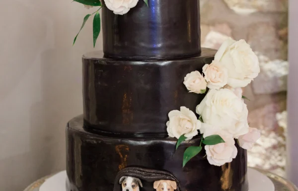 The wedding of A Butterfly Release, Four Wedding Gowns & a Grandma Flower Girl on This Big Day Gallery 14