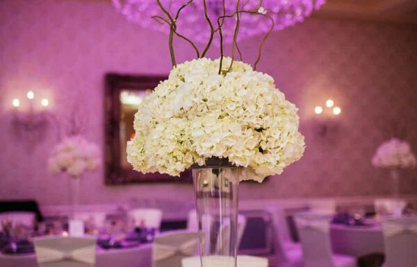 Crystal Ballroom at the Radisson Freehold Gallery 0