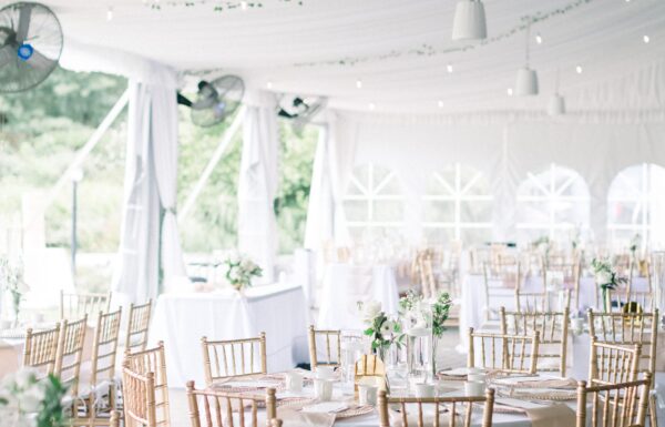 The wedding of A Whimsical Garden Party Ceremony and Elegant Tent Reception Gallery 9