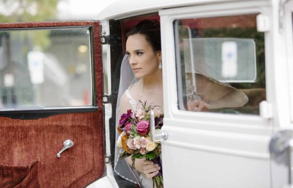 Heyn Photography Gallery 10