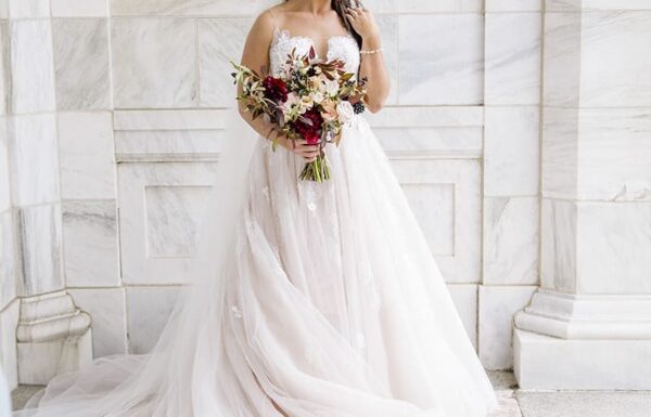 Heyn Photography Gallery 12