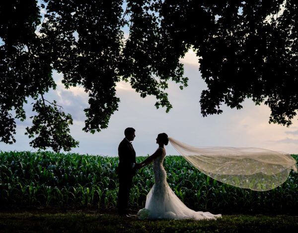 Venue Listing Category Hotel du Village