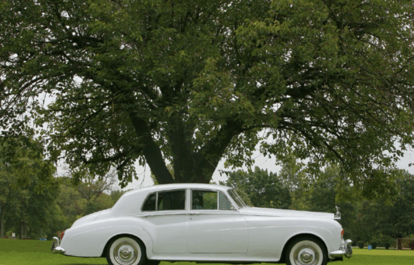 First Class Limousine Gallery 4