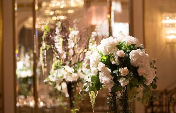 The Grove Gallery 11