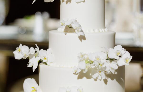 The wedding of Historic Charm Combined With Modern Elegance at This Shadowbrook Wedding Gallery 2