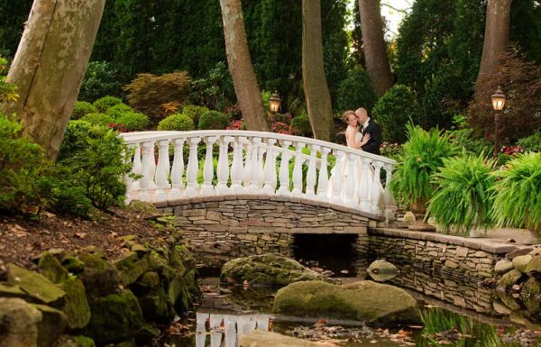 Venues Category Vendor Nanina’s In The Park