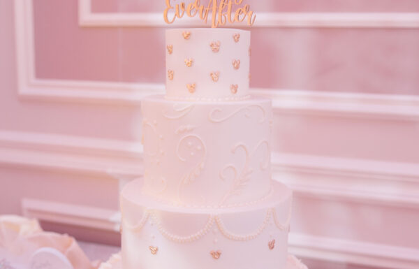 The wedding of Pro Dancer Bride and Her Team Rocked The Reception With High-Energy Performance Gallery 6